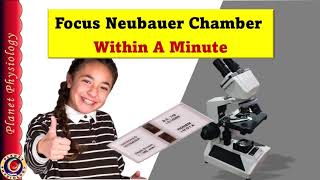 Focus Neubauer Chamber Within a Minute [upl. by Niatsirhc]