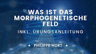 Morphogenetisches Feld  was ist es und wie kannst du es nutzen Inkl Übungsanleitung [upl. by Omura]