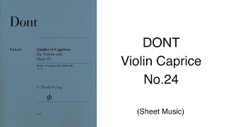 DONT 24 Violin Caprice No24 [upl. by Enniotna]