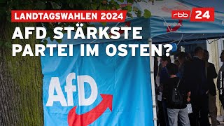 Wahlen in Sachsen und Thüringen 2024 Das sind die Reaktionen aus Brandenburg [upl. by Arammat652]