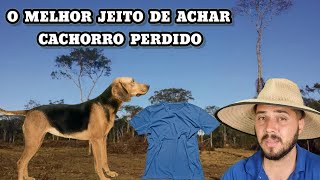 O Caboclo perdeu o Cachorro mestre na mata e lembrou de uma maneira infalível para achar o animal [upl. by Nelac816]