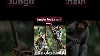 junglestory jungle foid chain songfrom the ground to skynurseryrhymes ecosystem [upl. by Einalem]