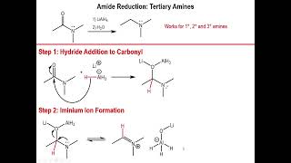 Lec9  Synthesis of Amines from Amides [upl. by Emanuele119]