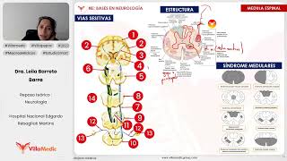 BASES EN NEUROLOGÍA PARTE 4  NEUROLOGÍA  VILLAMEDIC [upl. by Accber]