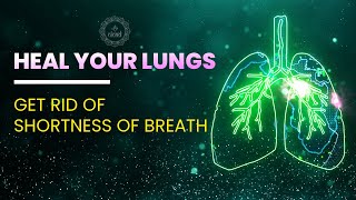 Heal Your Lungs  Get Rid Of Shortness Of Breath Coughing Allergies Infections amp Fatigue  528 Hz [upl. by Lovell676]