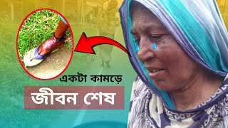 পায়ের এমন অবস্থা কিভাবে হলো  Free Motion Video। Free Motion By Sabir।। Free Motion By Firoz Hasan [upl. by Eixirt]