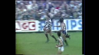 David Twomey  1981 Round 9  Great Goal [upl. by Rovert255]