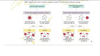 6 Coombs testing  Direct and Indirect Coombs Test  USMLE STEP 1 [upl. by Afatsom]