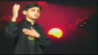 Ban Ja Tu Mera Zamin Zeeshan Haider 2007flv [upl. by Aidahs]