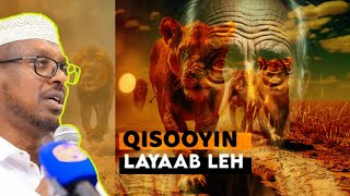 5 QISO  SHIIKH MUSTAFE  DHIIRIGELIYE [upl. by Taveda]