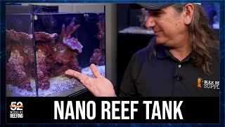 Week 11 Nano Reef Tank  Magnifying What Is Otherwise Lost  52SE [upl. by Yelrebmik]