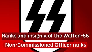 Ranks and insignia of the WaffenSS [upl. by Eidualc]