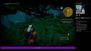 Witcher 3 Wild Hunt [upl. by Remas]