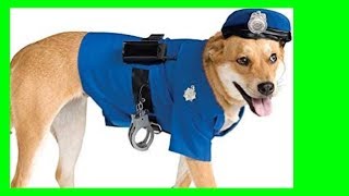 Velorio  Chiste perro policia [upl. by Estevan638]