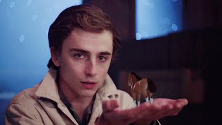 Timothée Chalamet SNL Sketches Highlights [upl. by Giardap]