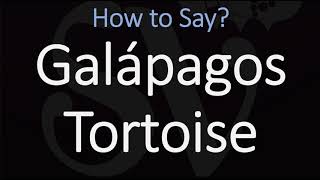 How to Pronounce Galápagos Tortoise CORRECTLY [upl. by Adiv]