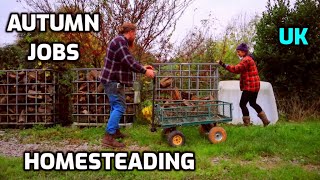 Learning New Skills  Autumn Homesteading  UK [upl. by Enomrej98]