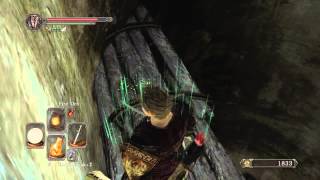 Dark Souls 2 Gnawing Covenant Achievement [upl. by Stephanus196]