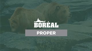 Boréal and Proper good grain dog food [upl. by Refennej717]