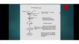 Chromosome Manipulation Gynogenesis And Androgenesis English Lecture [upl. by Yentihw]