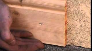 Skirting Board installation using Fast Flex [upl. by Kcirdez682]