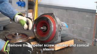 How to Replace the Impeller on Flygt N 3085 amp N 3102 Pumps with Adaptive N® Impeller [upl. by Ardnusal]