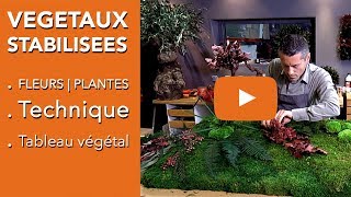 PLANTES STABILISÉESFLEURS STABILISÉESVÉGÉTAUX STABILISÉS quelle technique [upl. by Horan]