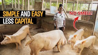 How To START A SUCCESSFUL Pig Farm As a BEGINNER in 2023 with Less CAPITAL  DETAILED STEPS [upl. by Gemma354]