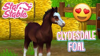 CLYDESDALE FOAL Star Stable Horses App [upl. by Eirahs689]