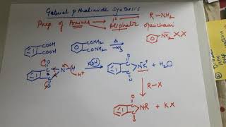 Gabriel pthalimide synthesis for Amines [upl. by Greene]