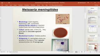 Bacterial CNS infections Microbiology 2024 [upl. by Mongeau]