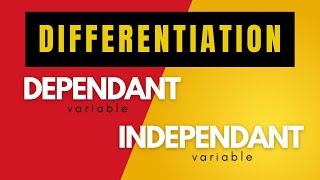 Dependant and independent variables Maths Class 12 Unit 2 Differentiation Lecture 1 [upl. by Ahsoyem]