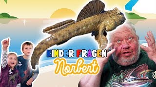 Kinder fragen Norbert I SCHLAMMSPRINGER I NORBERTS WELT  Zoo Zajac [upl. by Kain]