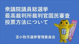 衆議院議員総選挙の投票方法について [upl. by Namyl]