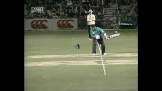 Brett Lee vs Adam Parore [upl. by Adnalram]