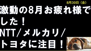 8月30日相場解説 NTT、メルカリ、トヨタ注目 [upl. by Modnarb]