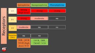 Vasopressor and Inotropes  Made Easy [upl. by Jefferey]