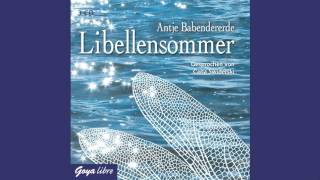 Antje Babendererde Libellensommer  HÃ¶rbuch [upl. by Ahsinek]