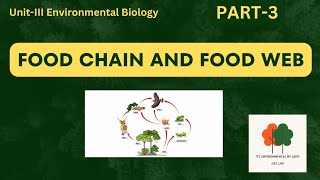 Food chain and food web  Environmental science [upl. by Adyan]