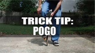 The Ultimate Trick Tip Pogo On A Skateboard  How To Pogo [upl. by Asseralc]