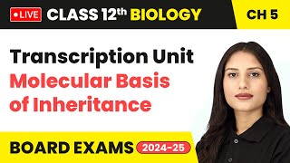 Transcription Unit  Molecular Basis of Inheritance  Class 12 Biology Chapter 5  live [upl. by Clint]