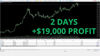 19000 in 2 days in The Hedge Funds Way  Live Forex Trading [upl. by Lamee]