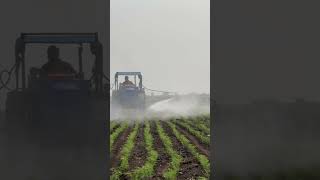 viralvideo farming video reels anantapur [upl. by Ailecara]