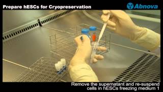 Prepare hESCs for Cryopreservation [upl. by Ainivad]