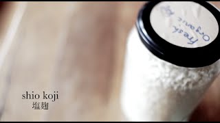 how to make shio koji 塩麹 [upl. by Karub]