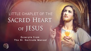 The Chaplet of the Most Sacred Heart of Jesus [upl. by Kcirdor]