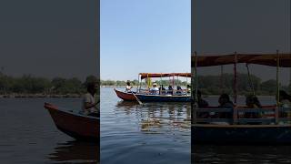 River boat viralvideos automobile travel love riverboat treanding train views water relax [upl. by Adniram]