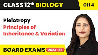 Pleiotropy  Principles of Inheritance and Variation  Class 12 Biology Chapter 4  CBSE [upl. by Ecitnirp551]