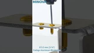 MINOVA Nietwerkzeug Ø 50mm 316 blaue AluminiumBlindnieten rivet relaxing asmr tools [upl. by Azzil971]