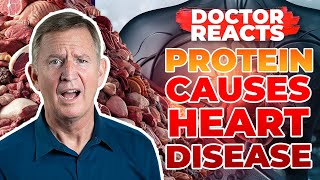 NEW STUDY Shows Protein Causes HEART DISEASE  Doctor Reacts [upl. by Attwood204]